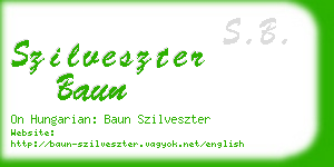 szilveszter baun business card